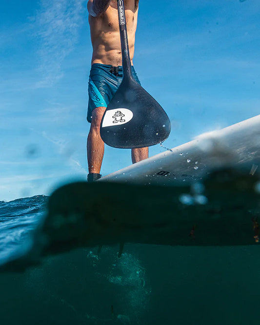 Starboard 2026 Enduro Carbon SUP Paddle - 29mm 2 PCS Adjustable Carbon F35