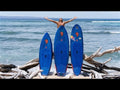 Quatro 2026 Kai Lenny VAULT LOG PRO
