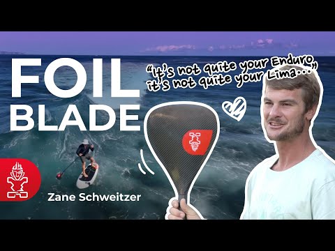 STARBOARD Paddle 2025 Foil Blade PREPREG CARBON L 2 PCS Adjustable