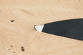 F-One Eagle (Front Wing Only)
